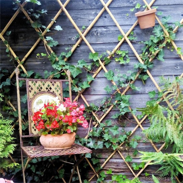 Шпалера для растений