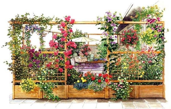 Цветник со шпалерой