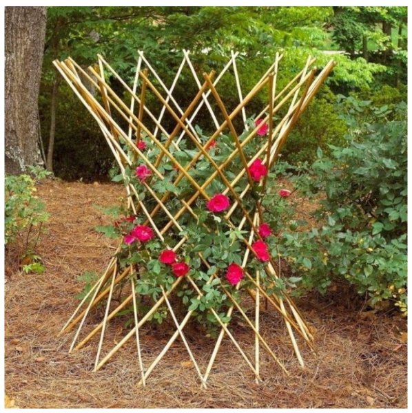 Шпалера пирамида