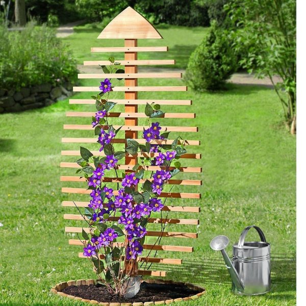 Двухплоскостная шпалера для ежевики