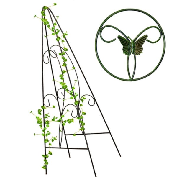 Пирамида шпалера клематис