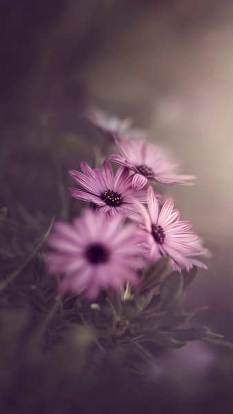 Матовый маникюр