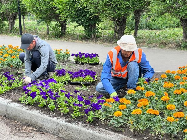Гацания и газания