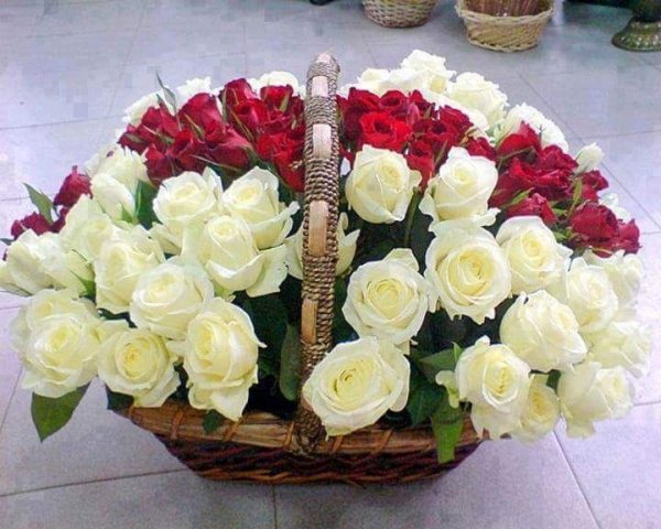 Розы для тебя