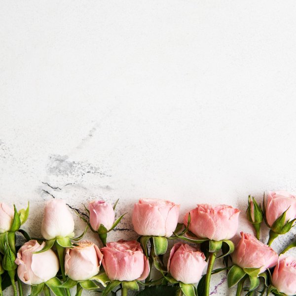 Фон цветы горизонтальный