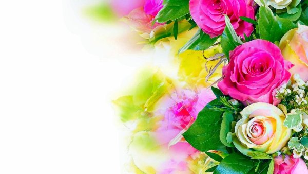 Цветы для подложки