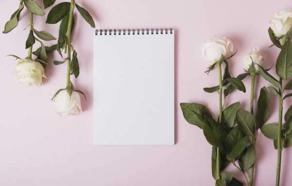 Цветы Минимализм