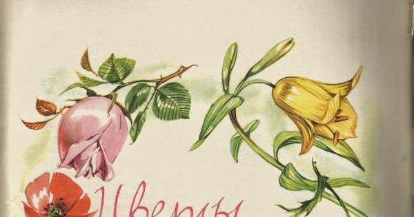 Ганс христиан Андерсен с цветком