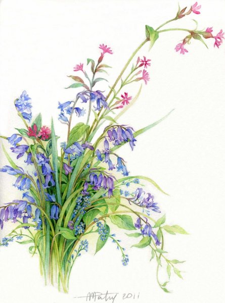 Сказка о подсолнечном семечке