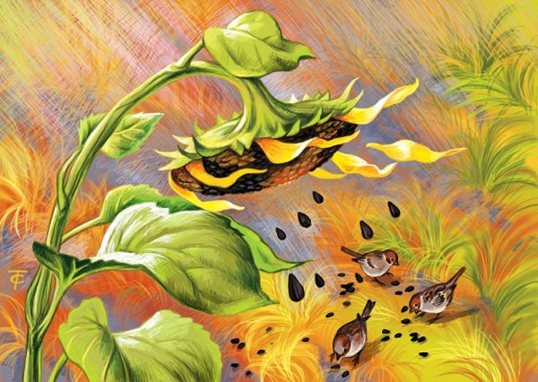 Алиса в стране чудес Дисней цветы