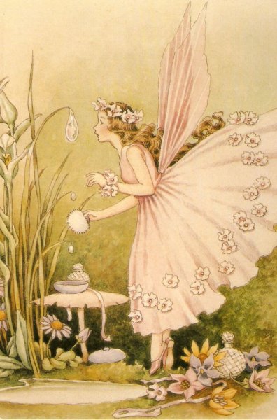 Ирисы рисунок карандашом