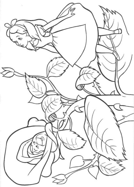 Ширли барбер «в гостях у зубной феи»