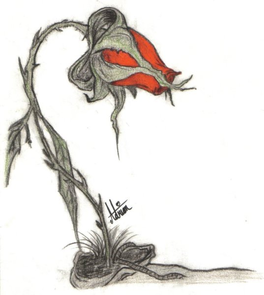 Ганс христиан Андерсен Дюймовочка на Ласточке