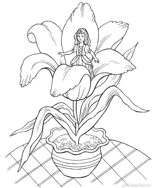 Клумба с цветами раскраска