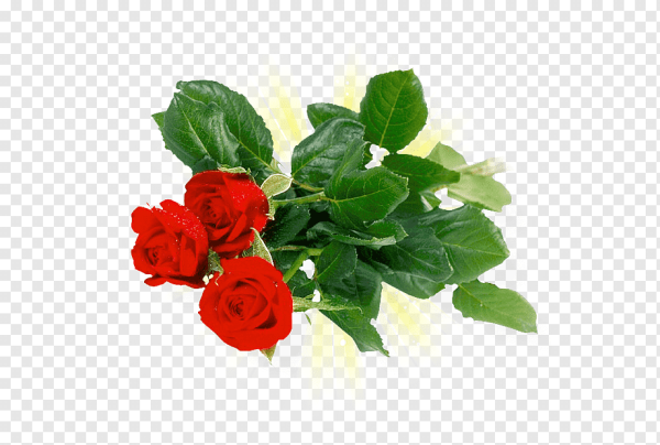 Цветы со словами благодарности