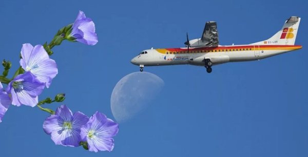 Самолёт в весеннем небе