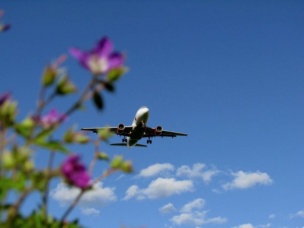 Весна самолет