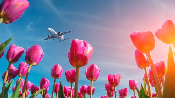 Майские праздники