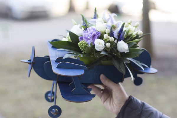 Самолет над цветами