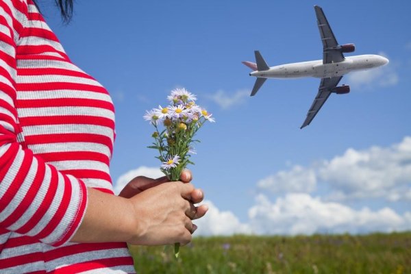 Маковое поле