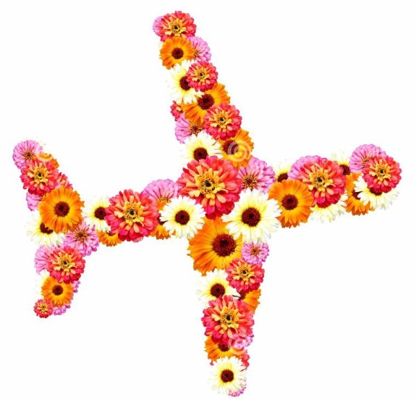 Военная природа