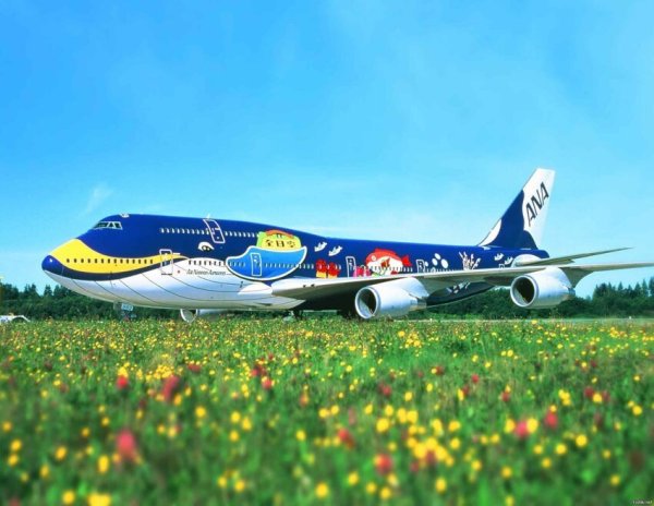 Самолет над полем