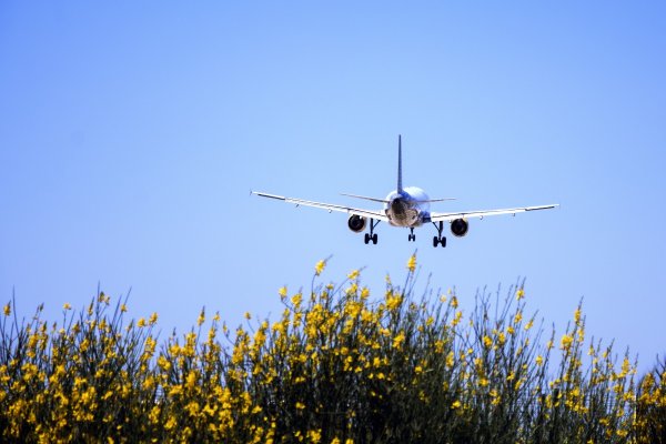 Реклама на самолете