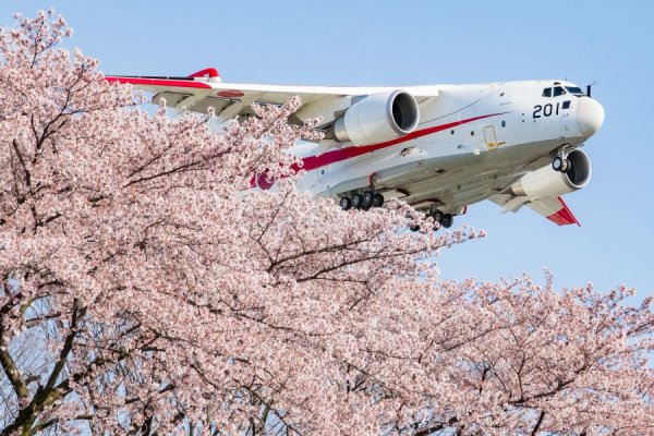 День воздушного флота России 2020