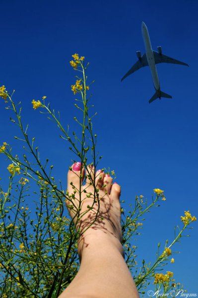 Самолет над полем