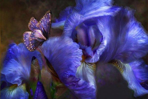 Цифровая живопись Кэрол Каваларис.