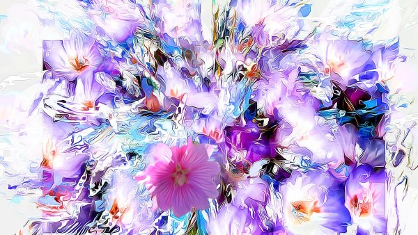 Сильвия Кордедда