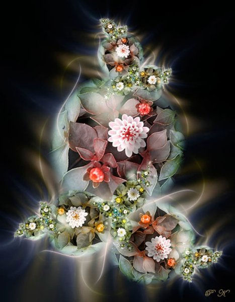 Цветы абстракция