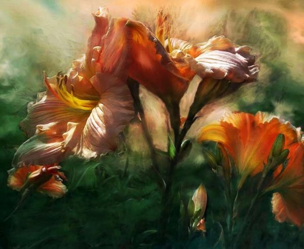 Цифровая живопись Кэрол Каваларис животные и птицы