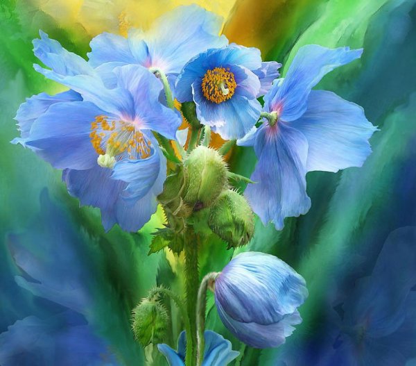 Цифровая живопись Кэрол Каваларис.