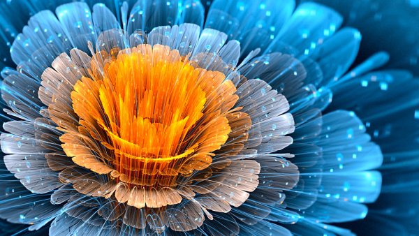 Сиреневые цветы