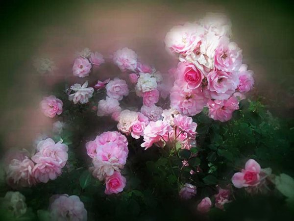 Кэрол Каваларис художник картины