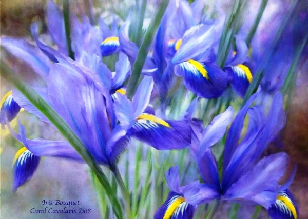 Монитор BENQ LCD 19