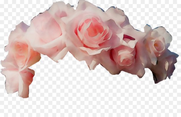 Цветы на голове без фона