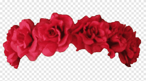 Венок из роз на прозрачном фоне