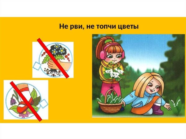 Рвать цветы запрещено
