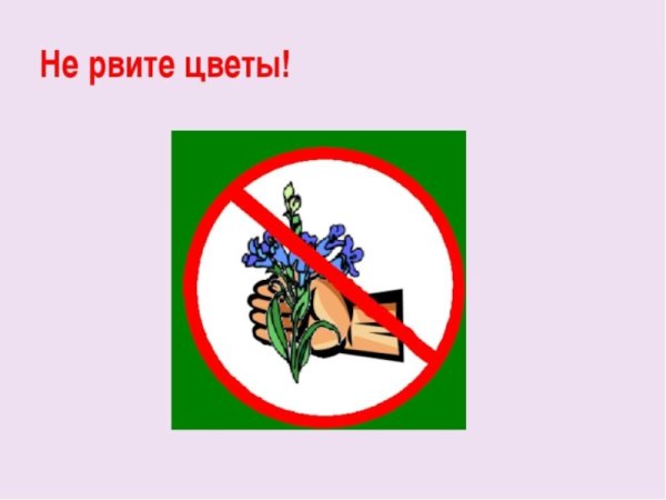 Знак запрещающий рвать цветы