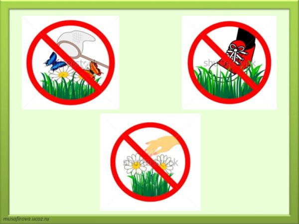 Не рвать цветы