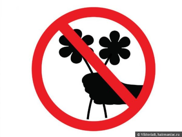 Берегите растения