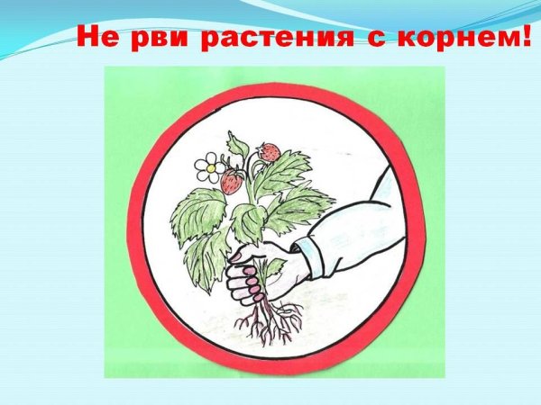 Знаки защиты природы