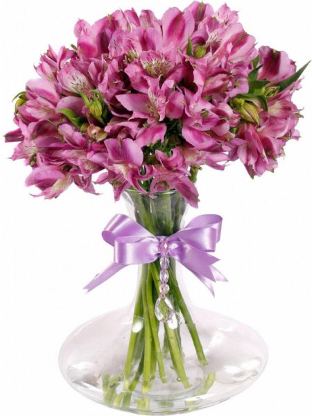 Альстромерия Фунза