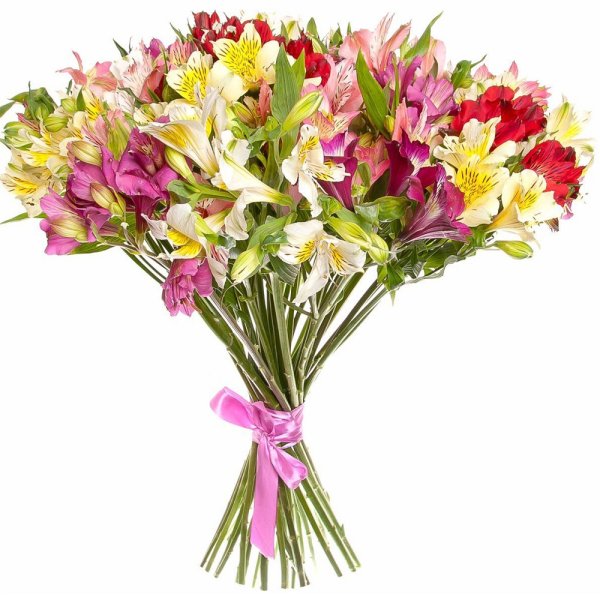 Альстромерия 50см микс