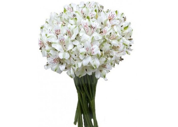 Букет «альстромерии и розы»