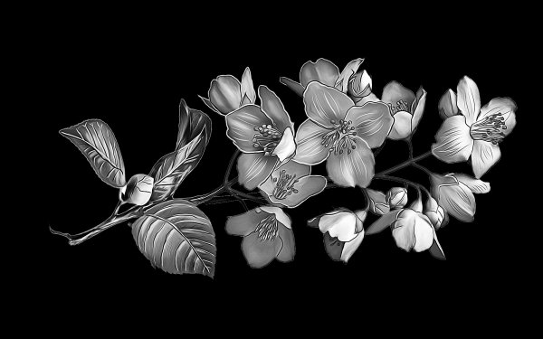 Я желаю всем счастья