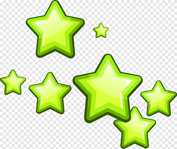 Лесные цветы белые звездочки