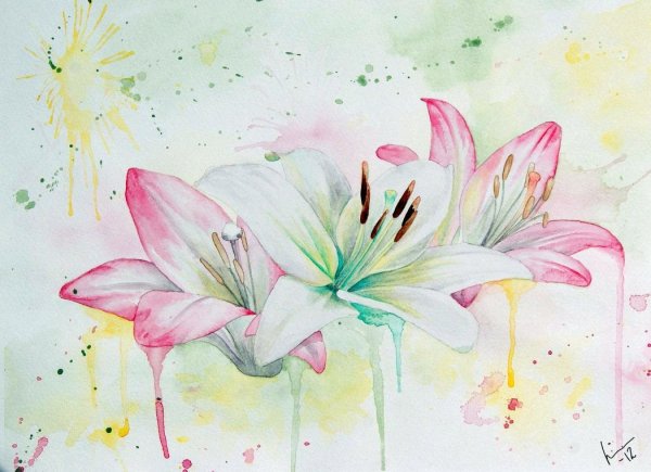Лилии акварелью